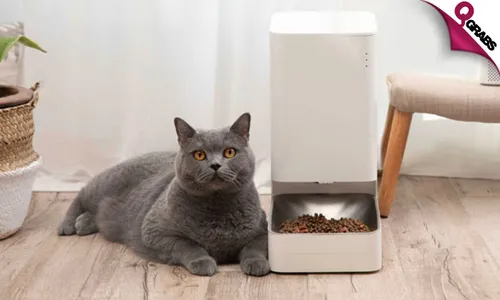Xiaomi Smart Pet Food Feeder!
